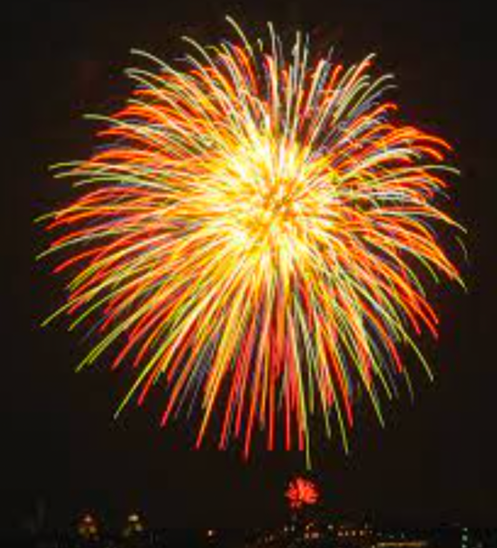 Opinion: People Should Not Use&nbsp;Fireworks